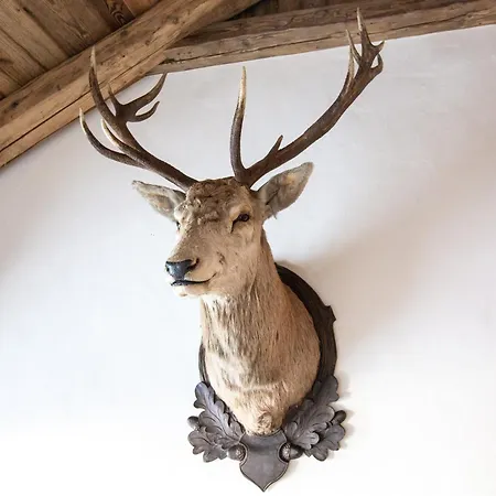 Hauserberg Domek alpejski