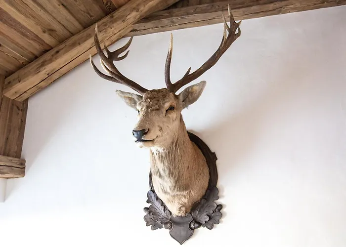 Hauserberg Domek alpejski